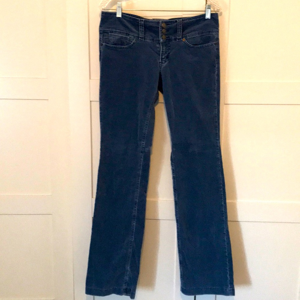 Billy blues Velour pants